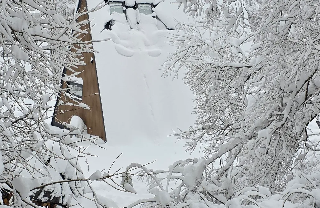 AlohaCamp accommodaties Jelenie Brdy 4