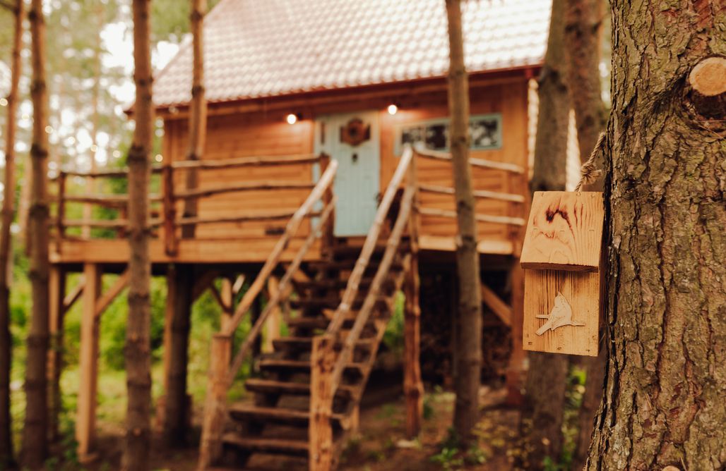 Iglasta Chata  AlohaCamp