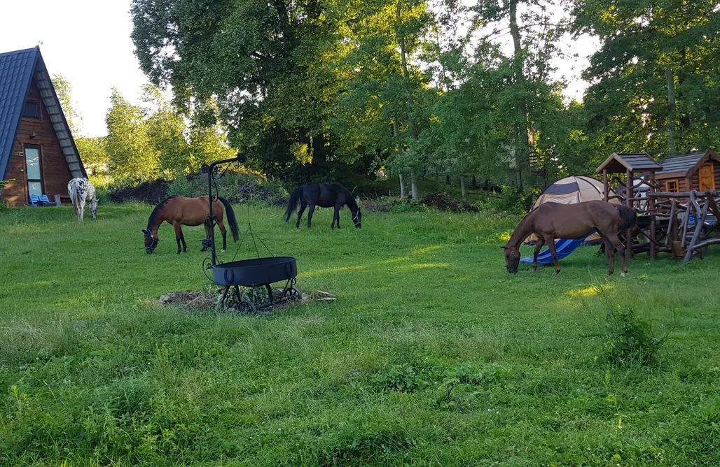 noclegi AlohaCamp Miejsce kamperowe i namiotowe - Stajnia Nad Strumykiem 1