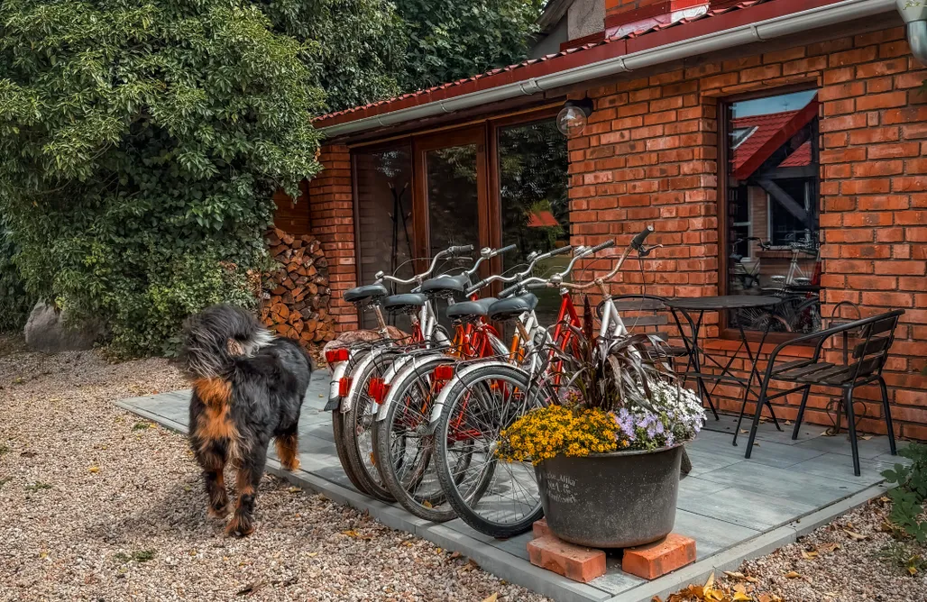 AlohaCamp Agroturystyka Chwalimie 1