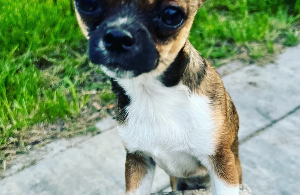 Noclegi Nad Jeziorem Lubuskie ⛵️ Agroturystyka Wena 1