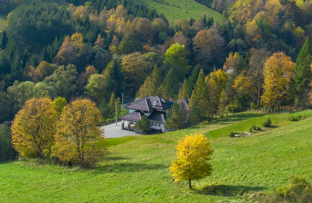 noclegi AlohaCamp Do usuniecia Honey 2