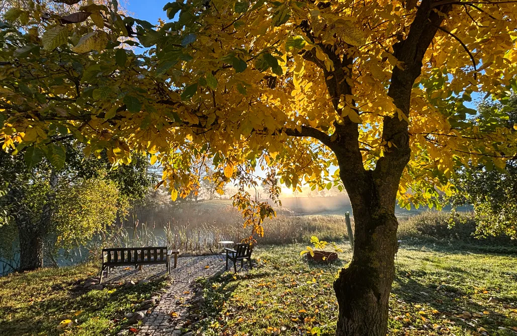 noclegi AlohaCamp NatuRelax Cottage 1