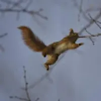 Magdalena użytkownik