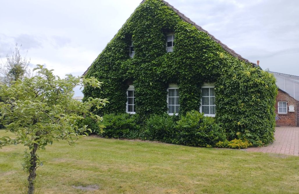 Ferienhaus direkt am Strand Ferienhaus Schenum 3