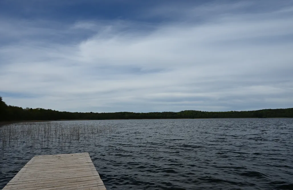 noclegi AlohaCamp Las woda i przygoda 1