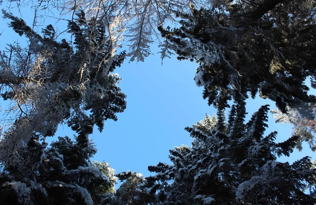 noclegi AlohaCamp A to Cichata! - Do usunięcia 3