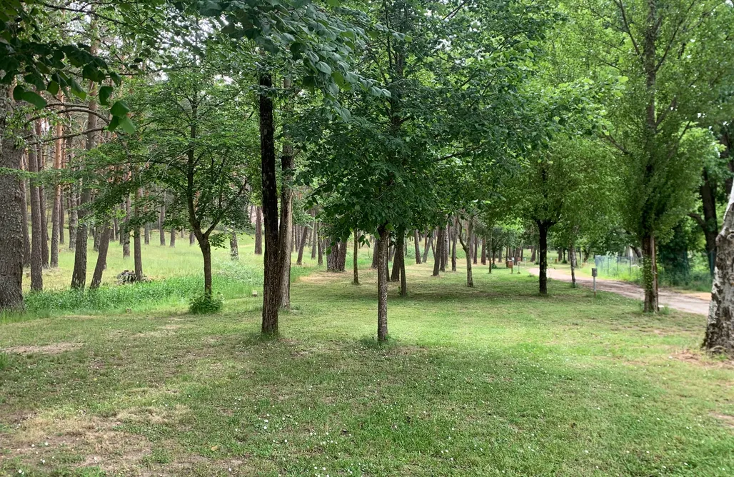 alojamientos AlohaCamp Sitio para autocaravanas y tiendas - Camping Fuente del Botón 3