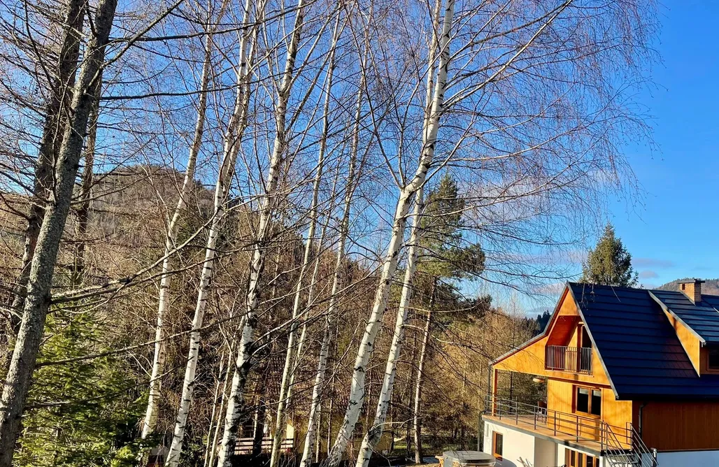 noclegi AlohaCamp Tylko tu Bieszczady - Balia z jacuzzi i Sauna 4