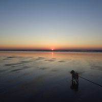JULIEN hostitel Le Crépuscule, 200m de la plage, animaux bienvenus