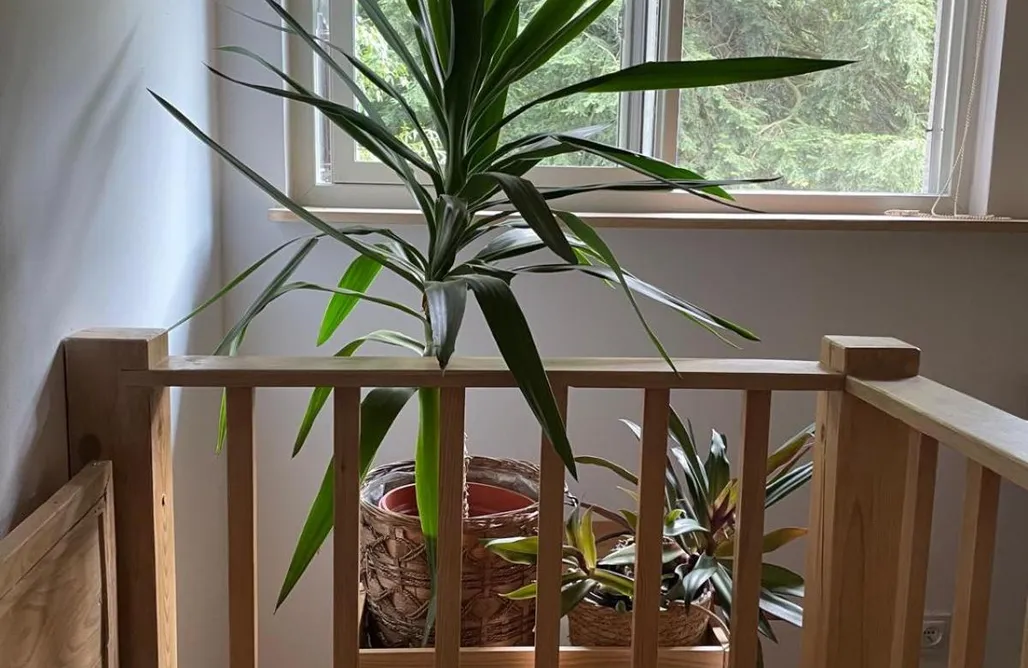 alojamientos AlohaCamp Zabytkowy dom w Podkowie Leśnej

 1