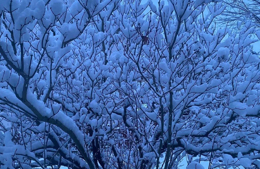 noclegi AlohaCamp Letnisko Klocówka Roztocze 1