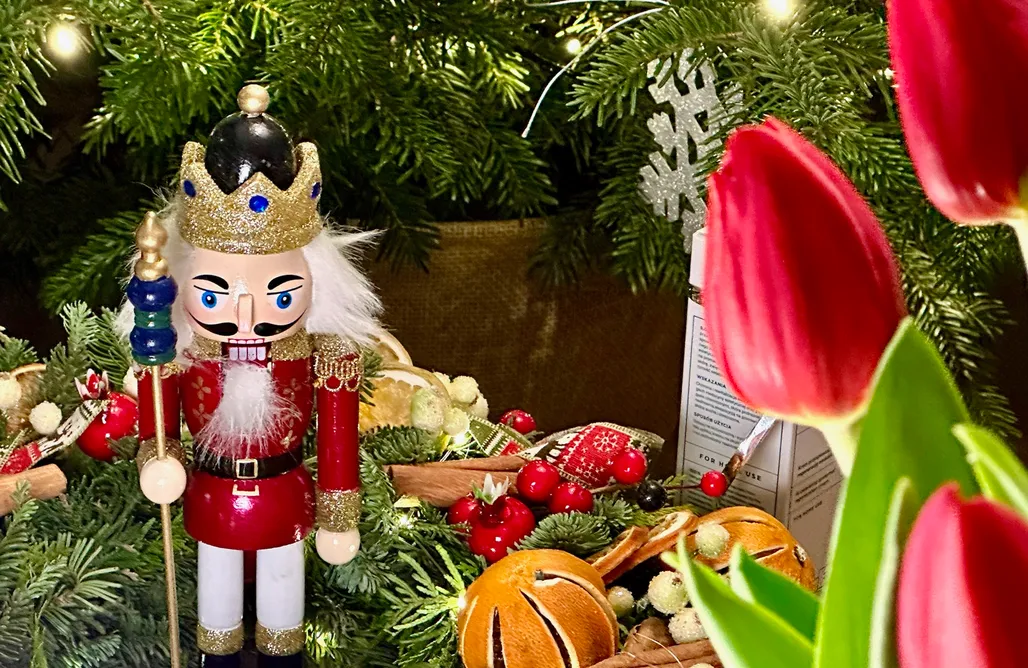 Spa Pieniny Domek Tatry Stacja Wierchowa 972 m 1