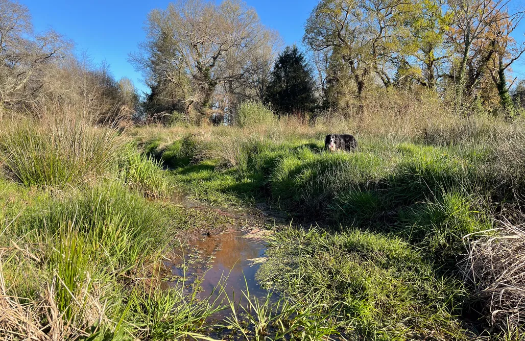 AlohaCamp Maison d'une chambre 1