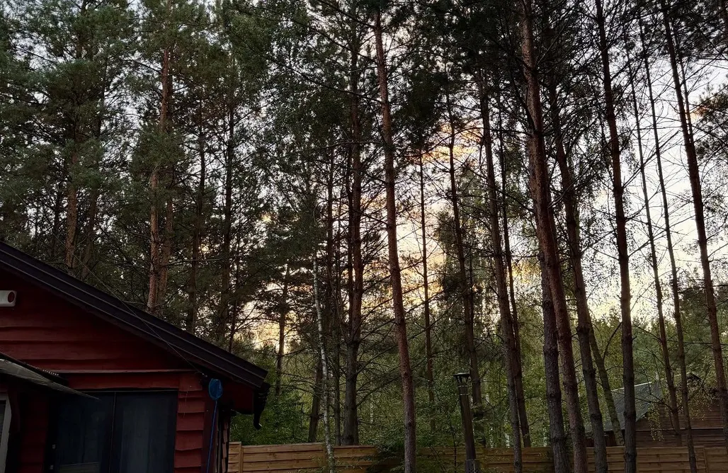 hebergement AlohaCamp Leśna Chata

 1