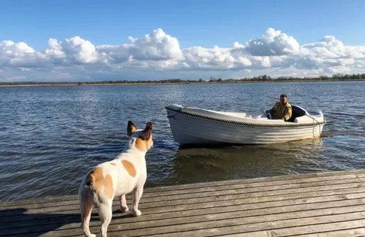 Zdjęcie obiektu Herbals Glamping
