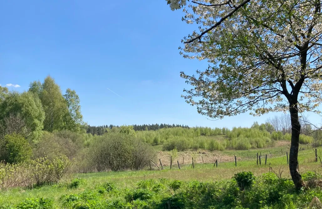 Klępnica Domki Domek Ogrodnika 1