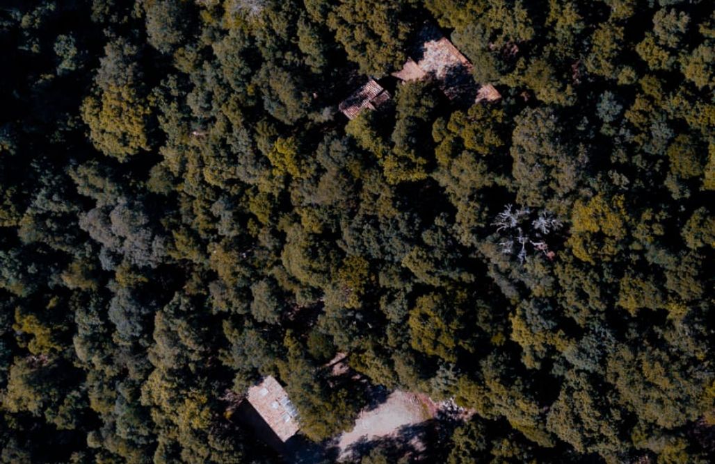 Alojamiento en Muro Sa Caseta D'es Bosc 1