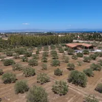 Agriturismo Corte degli Ulivi gospodarz Agriturismo Corte degli Ulivi