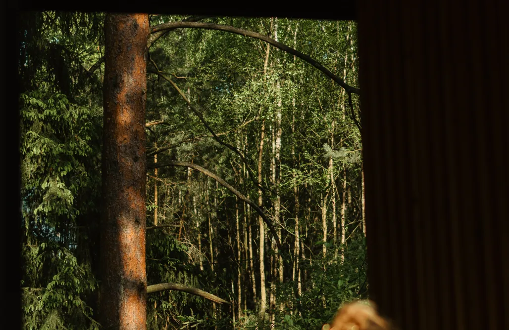 AlohaCamp Domek na drzewie Kryjówka  3