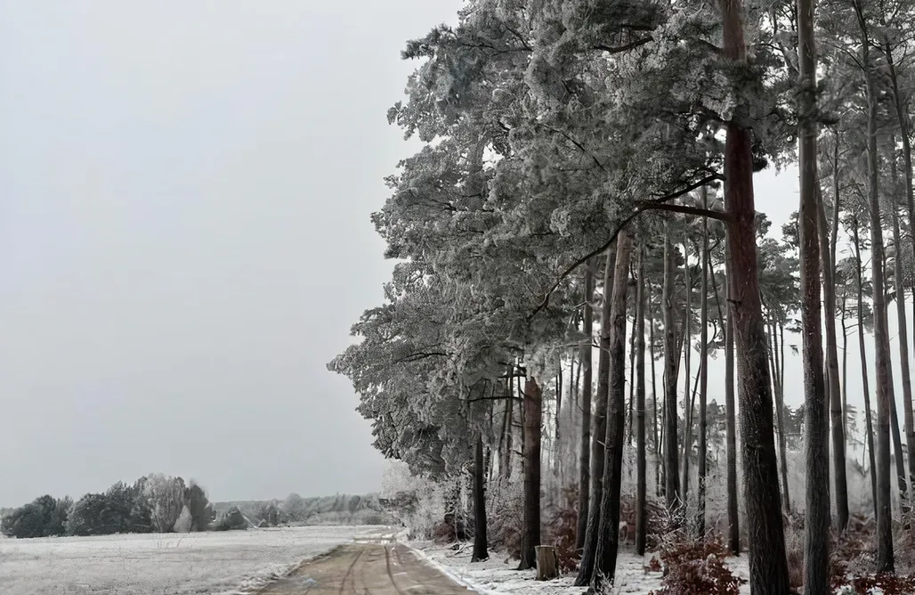 Ferienwohnung Berlin Ranczo pod Lasem  1