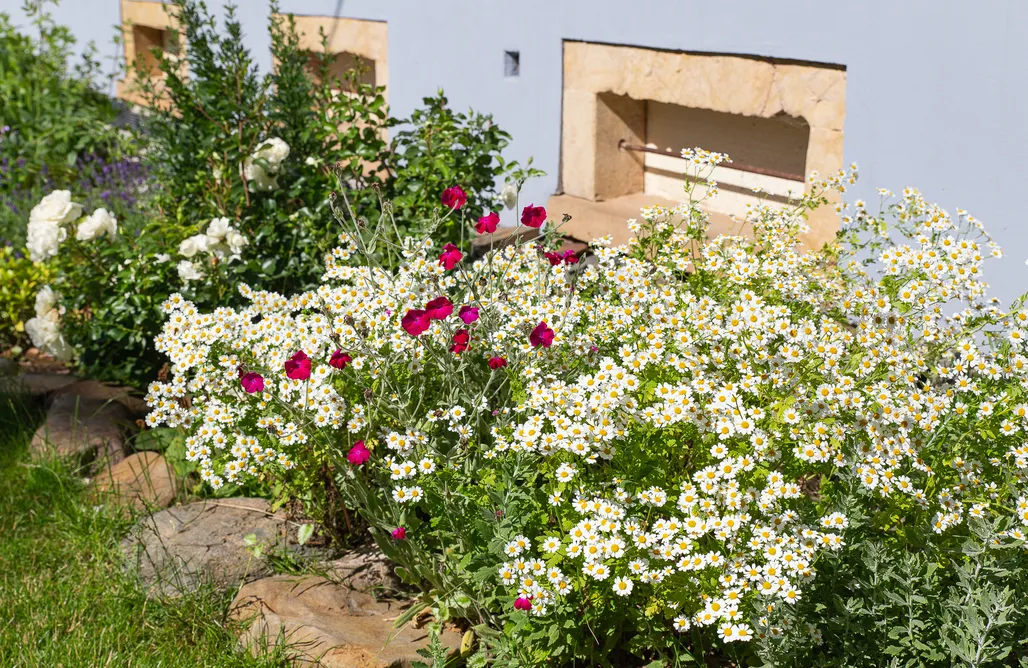 noclegi AlohaCamp Biała Kalina Kaczawy 1