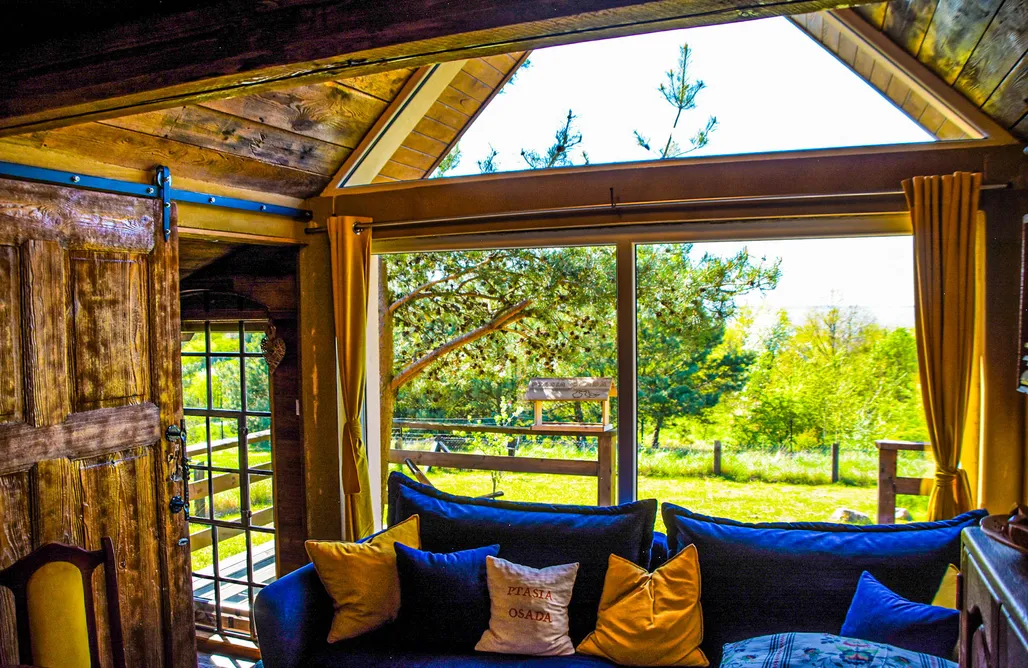 AlohaCamp Domek Puszczyk 4