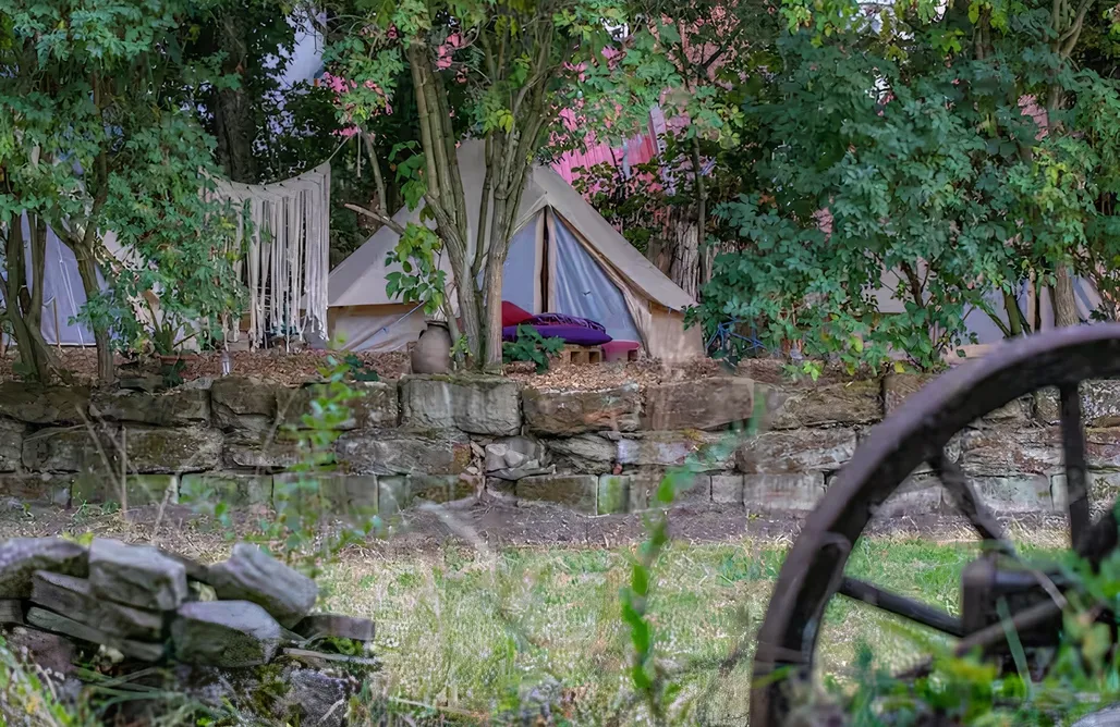 Hébergement AlohaCamp Into the Green - Tentes Glamping 5