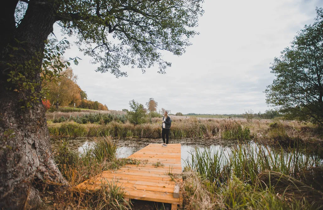 noclegi AlohaCamp Rojst Borowinowy Las - azyl dla dorosłych 4