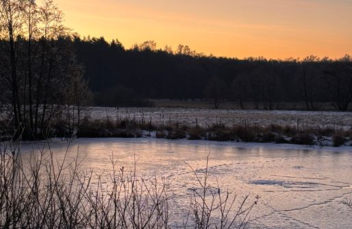 Zdjęcie obiektu Siedlisko Żurawie - cisza, natura i komfort na końcu świata