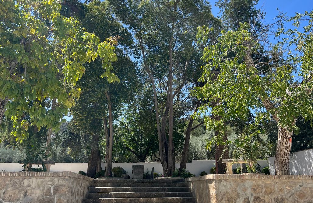 AlohaCamp Finca Genilla 1