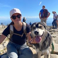 Magdalena użytkownik