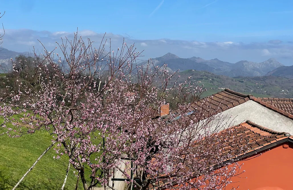 Unterkunft AlohaCamp Casa rural La Xana 5