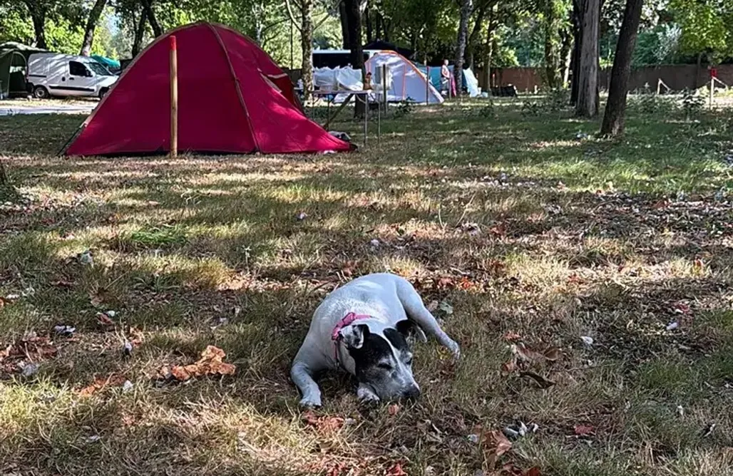 Campings Cantabria con Niños Zona para autocaravanas y tiendas - Camping Peregrino San Marcos 1