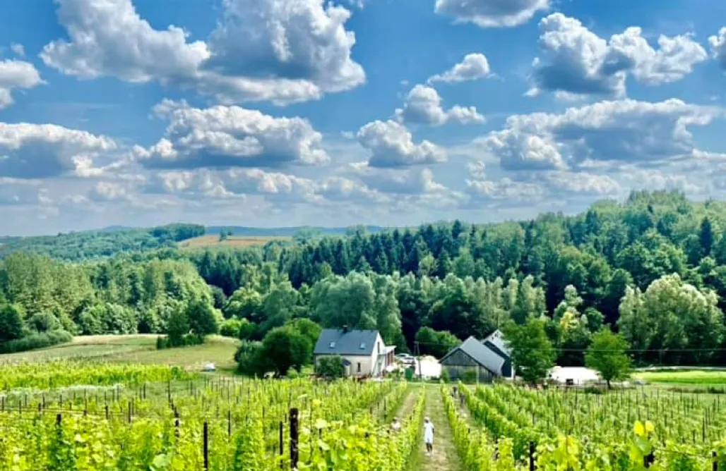 noclegi AlohaCamp Winnica Kosmos 4