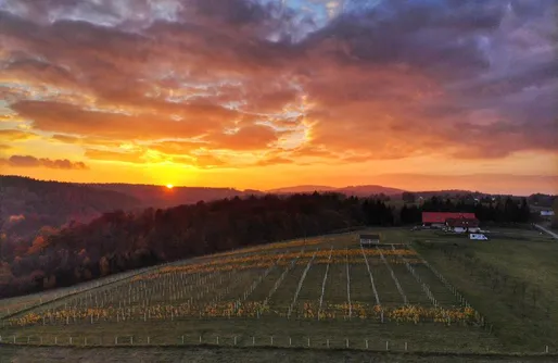 Zdjęcie obiektu Winnica Sztukówka