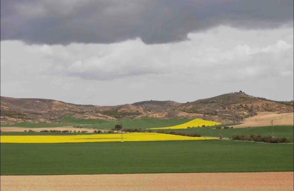 Casa De Turismo Pariseo  AlohaCamp