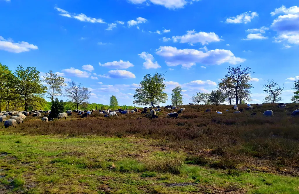 Unterkunft AlohaCamp Alte Kate mit Sauna  5