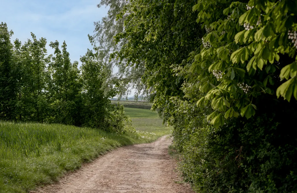 noclegi AlohaCamp Tu i teraz Góry Świętokrzyskie  1