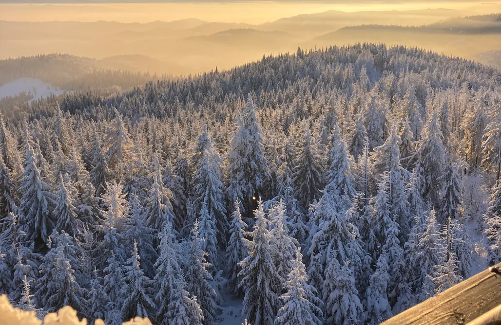 noclegi AlohaCamp Gorczańskie Siedlisko z widokiem na Tatry 1