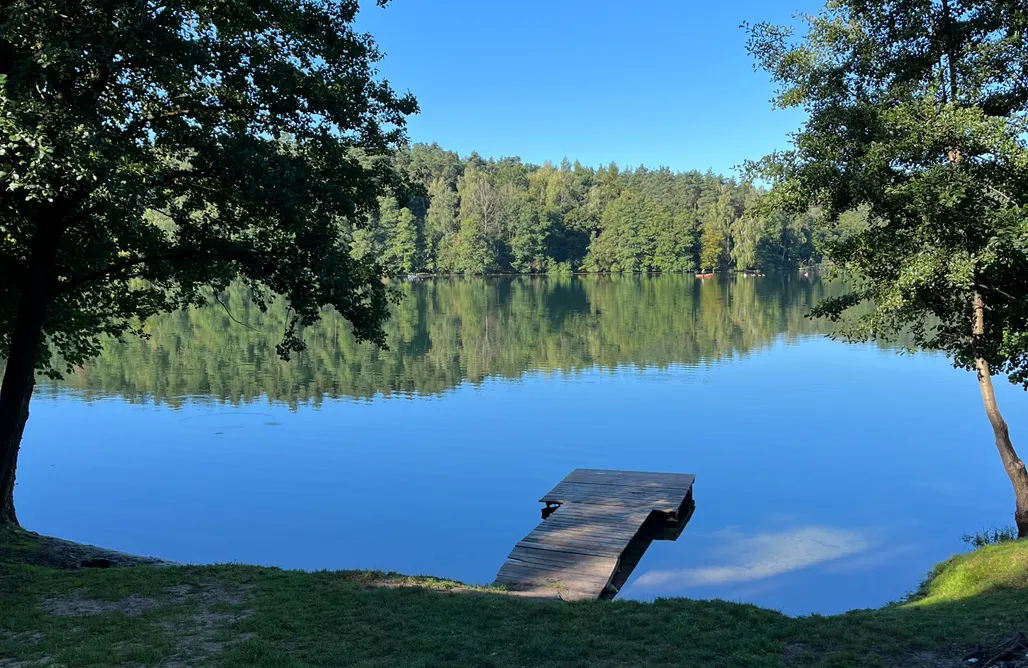 AlohaCamp Paprotka - dom i las 1