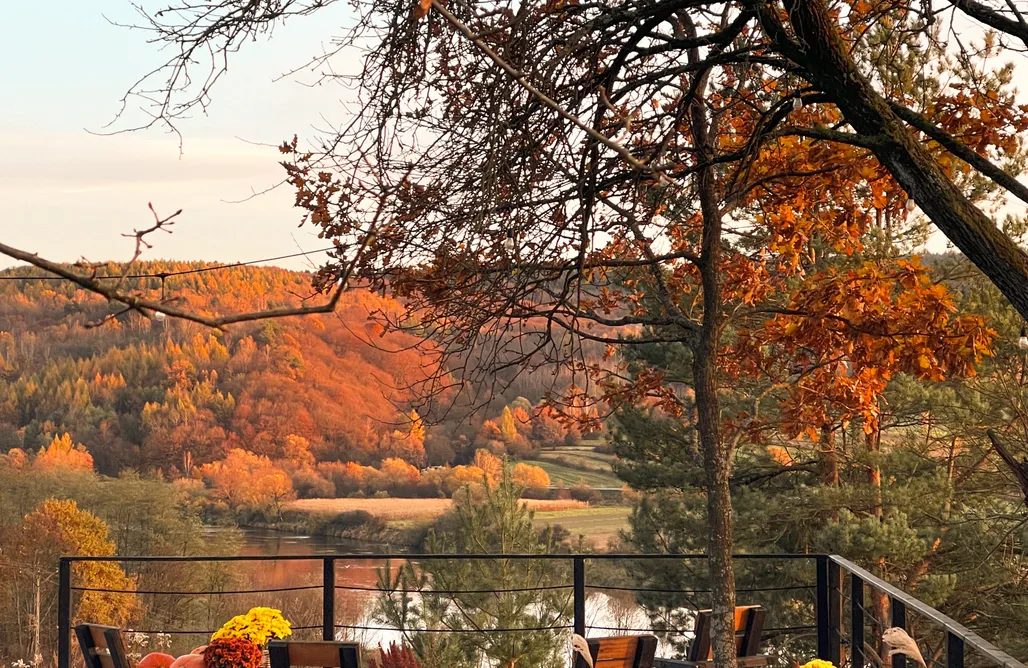 AlohaCamp Domek Hytte 1