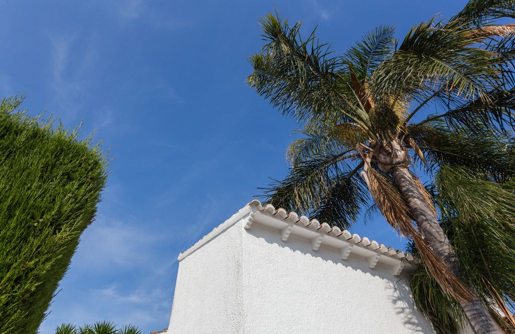 Spa Mallorca Casa Buganvilla 3