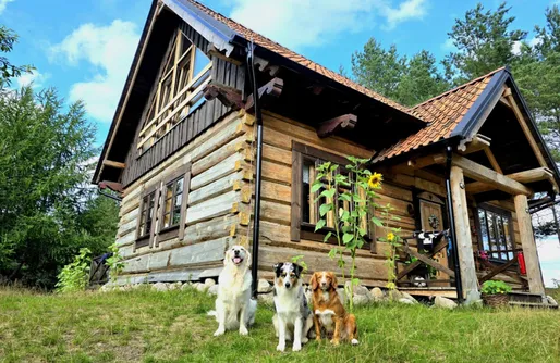 Zdjęcie obiektu Leśne Lato - Dom nad rzeką Wdą
