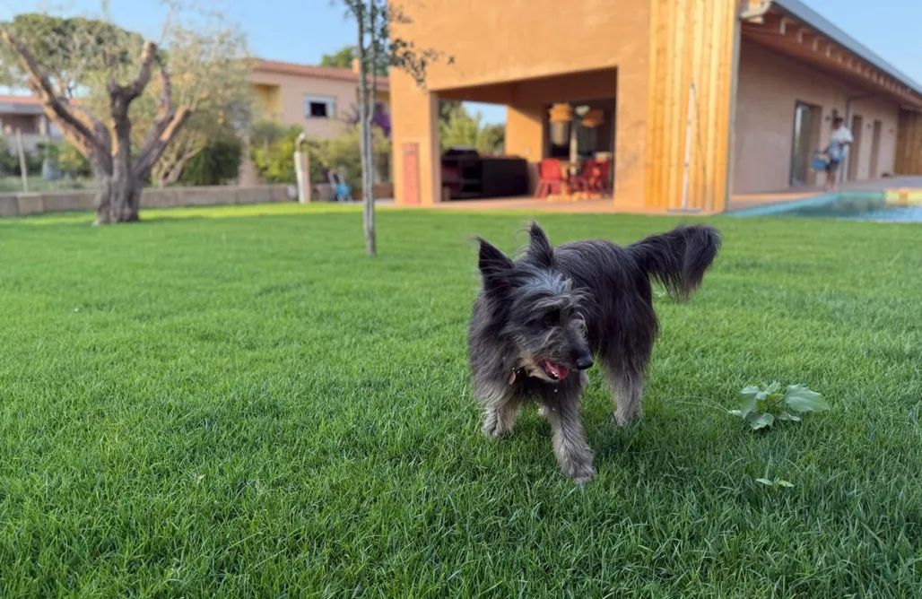 Unterkunft AlohaCamp Empordà Soul, casa rural moderna con piscina 4