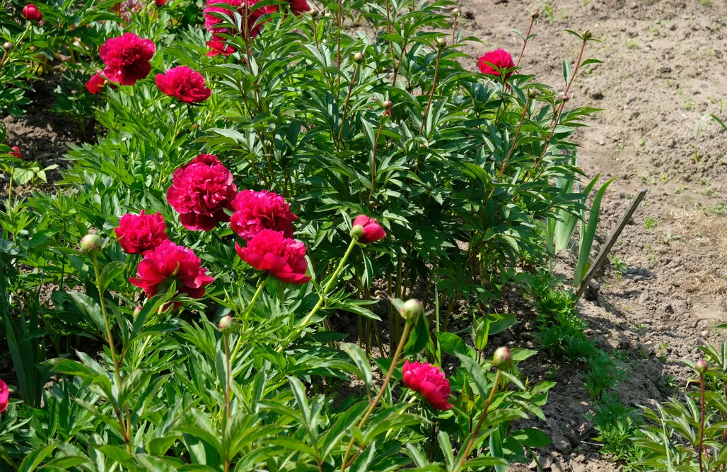 noclegi AlohaCamp Agroturystyka Inka 1