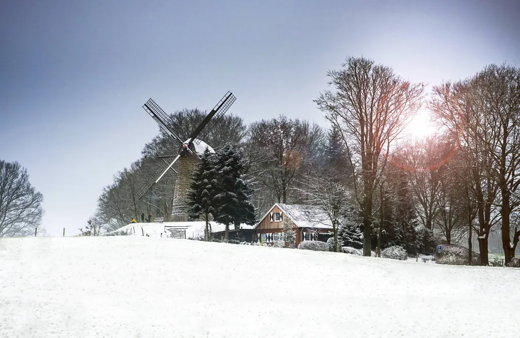 Alloggio AlohaCamp „Künstlerhaus am Mühlenberg“ mit Ofen+Gartensauna 1
