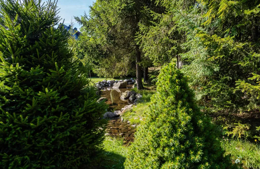 Unterkunft AlohaCamp Willa Lichajówka 4