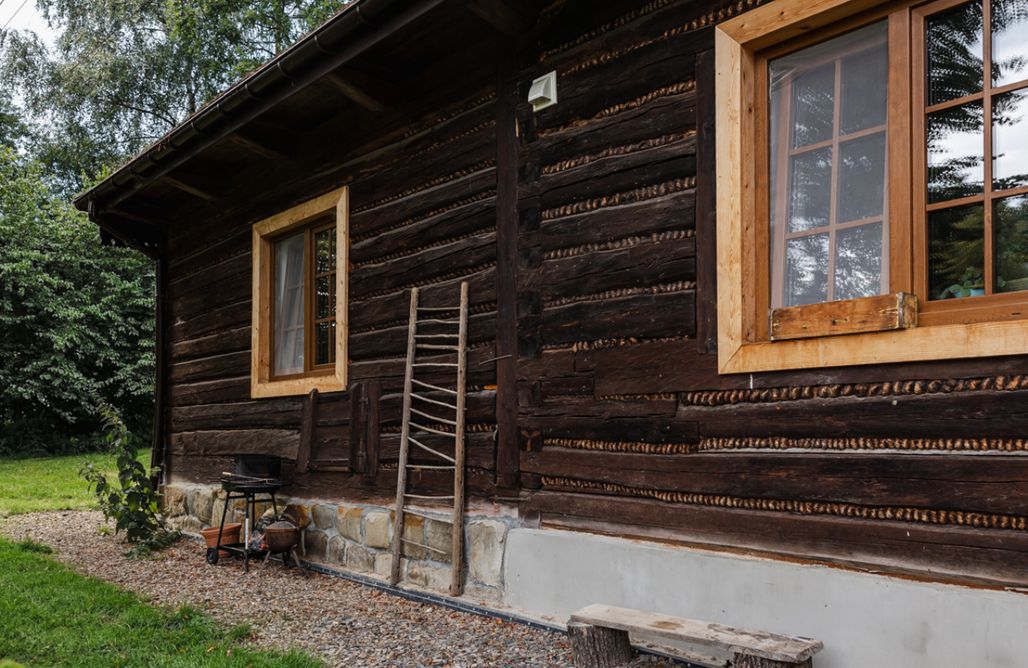 AlohaCamp Korzenie 1