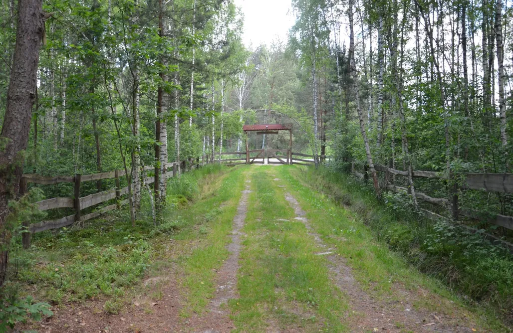 Glamping Poland Agroturystyka Żary Tanew - Domek Leśny 1